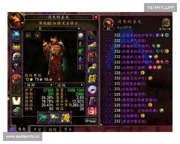 网页魔兽装备观察指南 网页魔兽装备观察指南